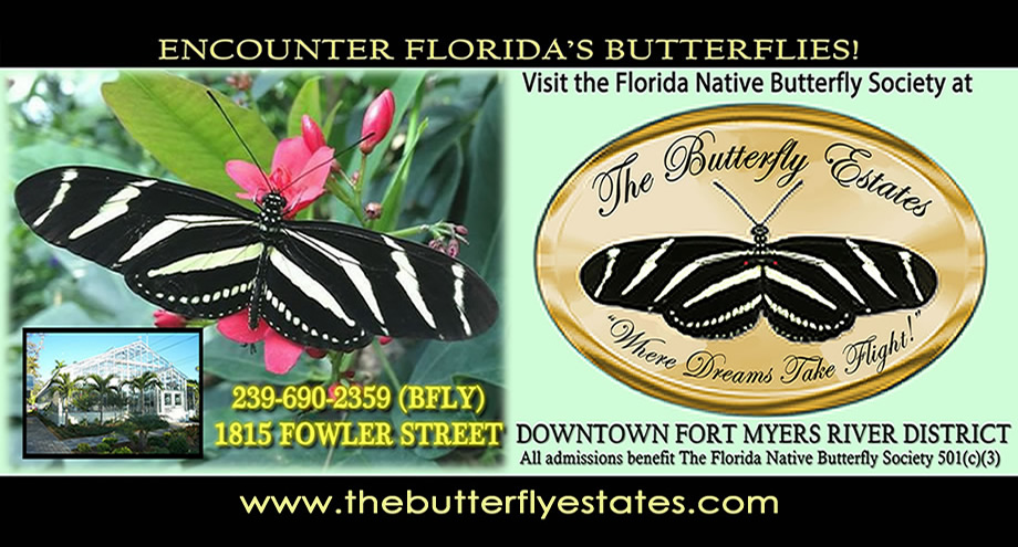 Home The Butterfly Estates