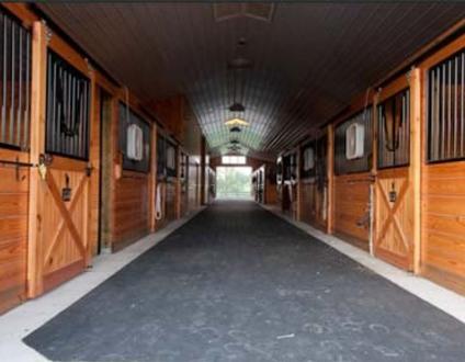 horse farm trip call