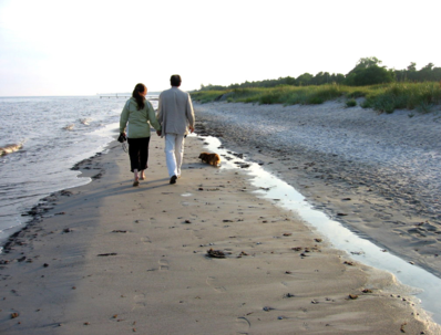 Couple holding hands walking on beach