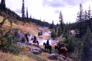 Yellowstone National Park, pack trips, bechler