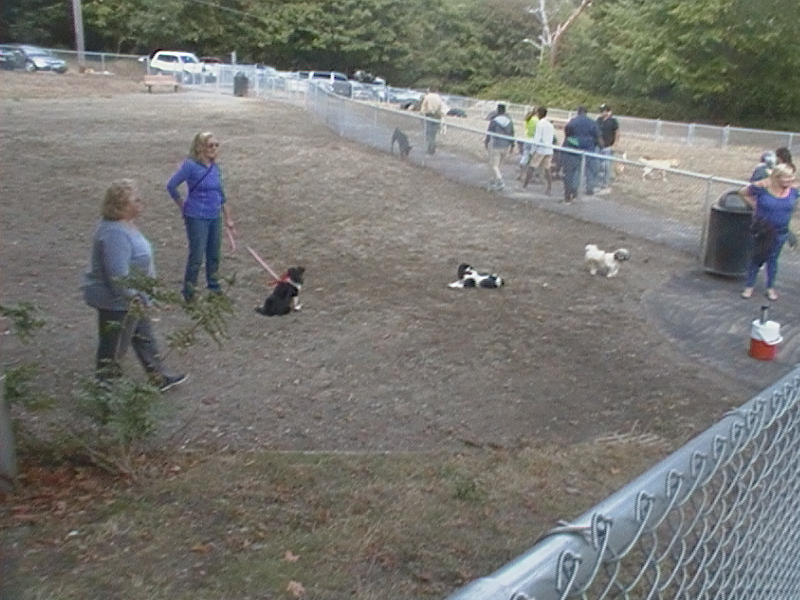 Our Dog Park