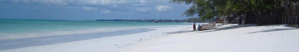 Miami Events; Entertainment; Tourist attractions; Shopping; Amazon; Family Events; Things to do in Miami; Miami Real Estate