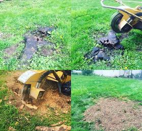stump Grinding, Stump Removal Grimsby tree services
