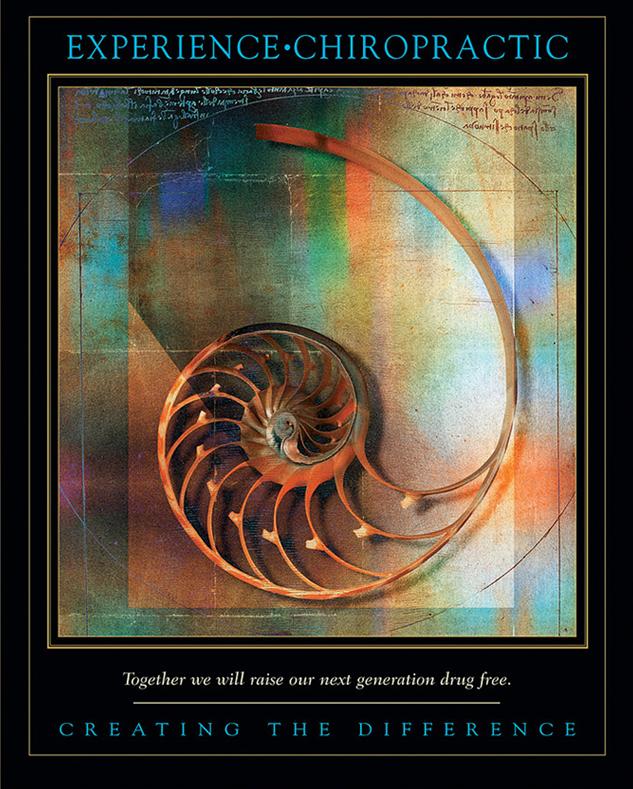 Washougal Chiropractic Center Massage, Chiropractic, Full Body Massage