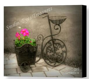 Flowers In Bicycle