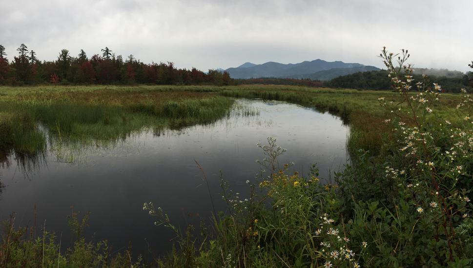 Black Mountain Architecture PLLC in Saranac Lake, NY