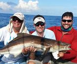 cobia fishing charters