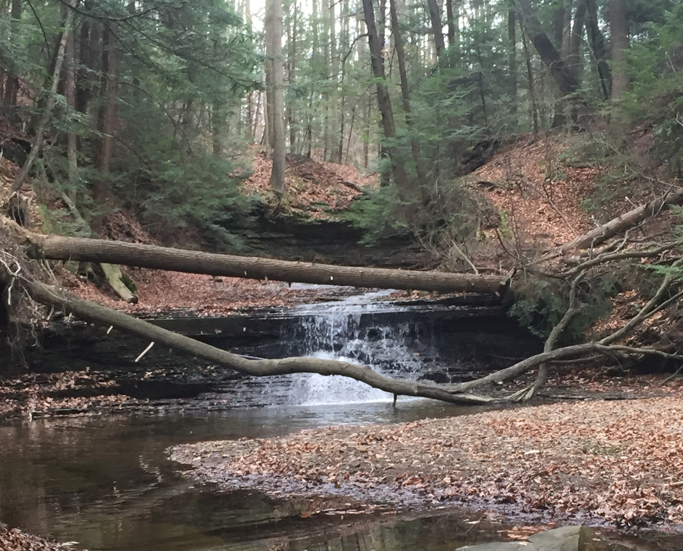 Sulphur Creek Waterfalls