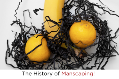 THE HISTORY OF MANSCAPING