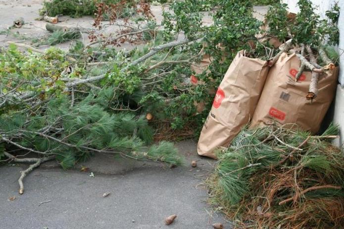 LAWN DEBRIS REMOVAL SERVICES