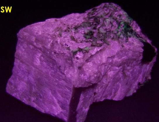 Pink SW LW fluorescing Agrellite, Eudialyte, Britholite-(Ce) crystals,Amphibole, Kipawa alkaline complex, Les Lacs-du-Temiscamingue, Temiscamingue RCM, Abitibi-Temiscamingue, Quebec, Canada