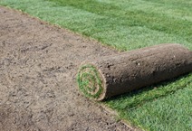 Sod Installation and Repair