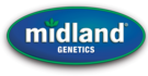 Midland Genetics