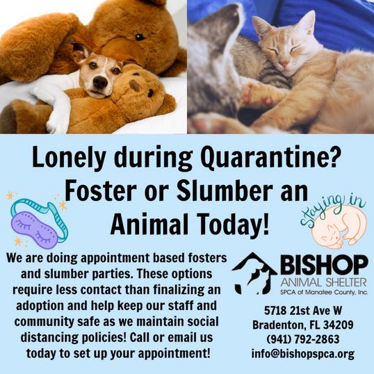 Bishop Animal Shelter