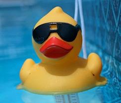 Pool Cleaning
