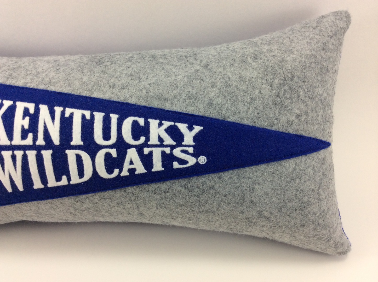 College Pennant Pillows By Mg Designs