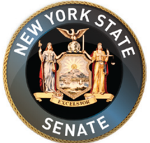 New York Senate Employees Notary Public Training Albany, N.Y.