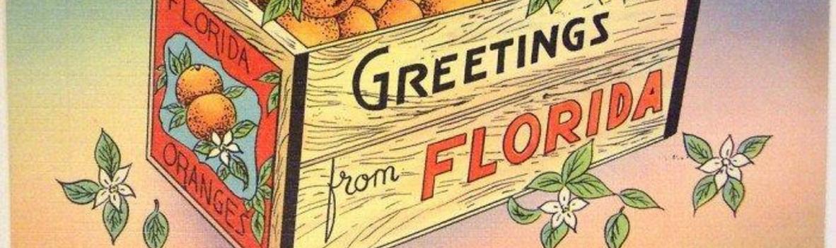 Picture of a box of Oranges with the words Greetings from Florida on the side of the box