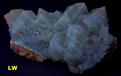 FL Calcite crystals – Edgemont, South Dakota
