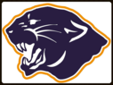 Link to Panther Posse