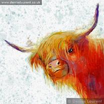 Highland cattle black,Scottish highland cattle,Black highland cattle,Highland cattle, Highland calves