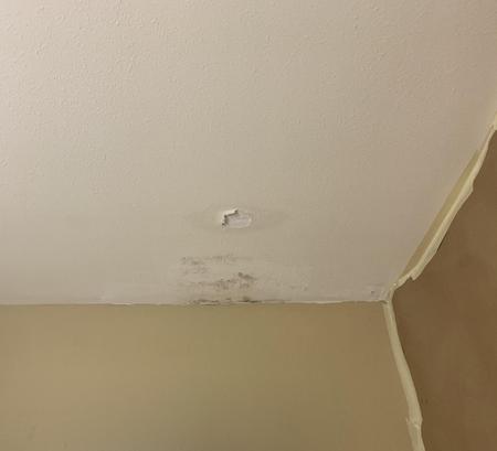 We Repair Ceiling Drywall Water Damage In Edinburg Mission