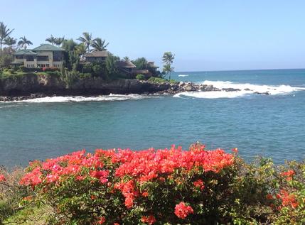 Oceanfront Cabana