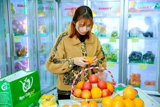 Chỗ nào bán giỏ hoa quả nhập khẩu đẹp tại Hà Nội?