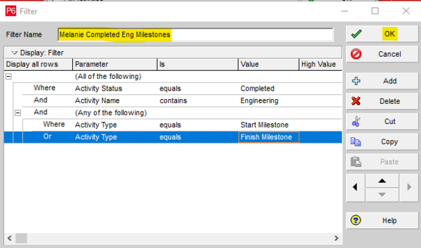 Use and or parameters in Primavera P6 for filter options