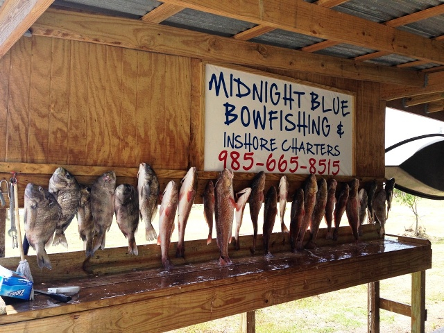 Midnight Xpress Bowfishing - Fishing