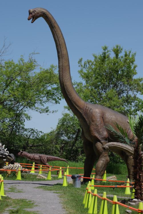 indian river reptile and dinosaur park