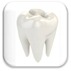 Cincinnati Hills Animal Clinic Tooth