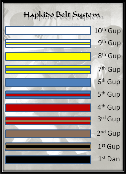 Hapkido 2025 belt ranks