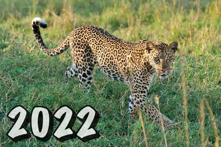2022 TAASA African Safari