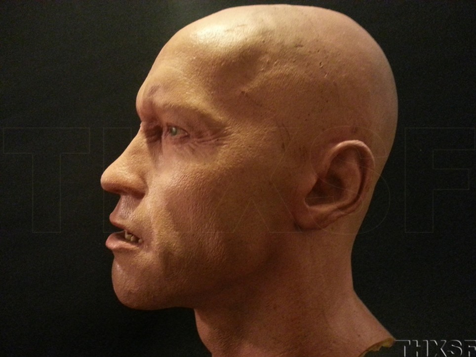 Terminator Life size Bust