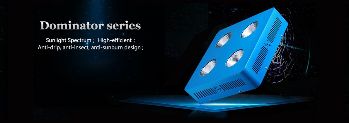 sun king led light