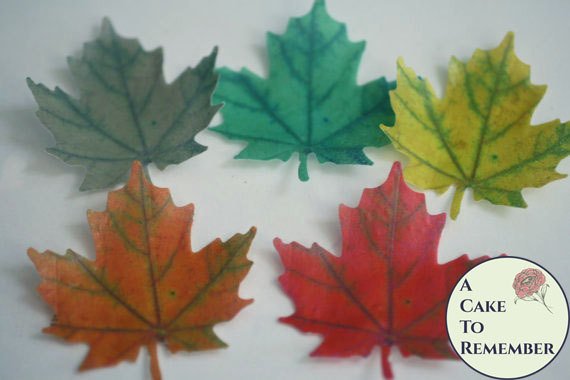 12 Wafer paper maple leaves, edible leaves for cake ...