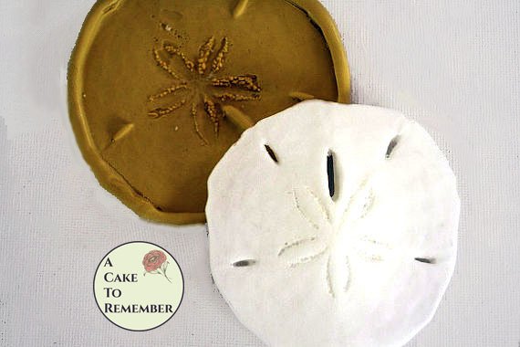 Silicone sand dollar mold A Cake To Remember LLC