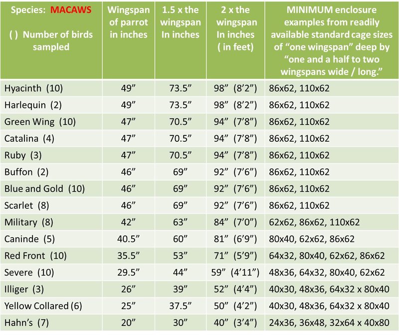 Wingspan Info Natural Inspirations Parrot cages