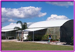 History of EFG Orchids | efg orchids,deland,volusia county,orchids