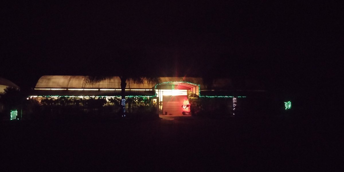 efg orchids,deland,volusia county,orchids,exotic plants,nursery