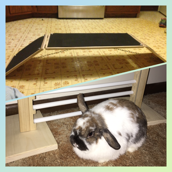 House Rabbit Agility Equipment Bundle Rabbit Hopping