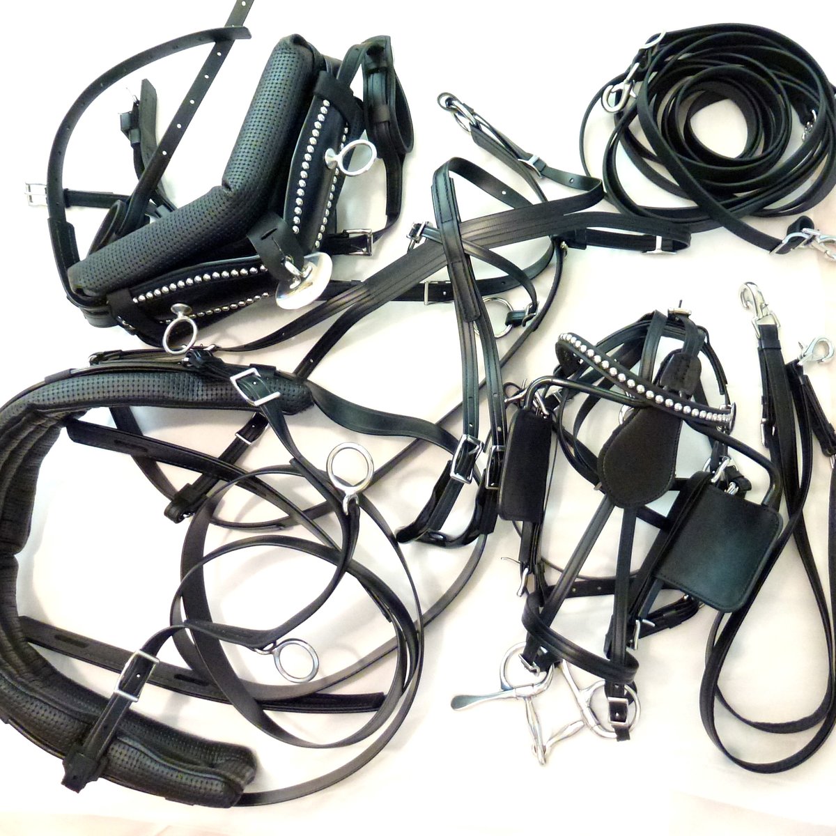 Biothane Harness & Tack for Horses since 1978