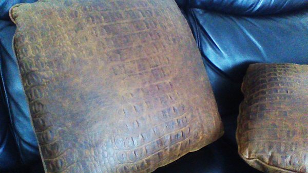 croc pillow