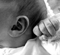 closeup photo of a baby's ear and hand - baby's first photos
