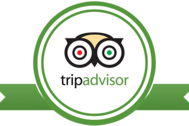 Trip Advisor Review