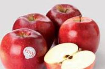 Táo Envy hoa quả nhập khẩu của nước nào ngon?