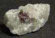 red Piemontite, white Quartz, Culp Ridge, Glatfelter Tree Farm #1, Hamiltonban Township, Adams County, Pennsylvania, USA - for sale