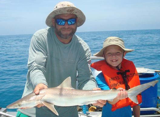 Fishermen reel in 12-foot tiger shark on Sanibel Island beach