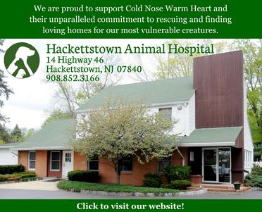 Hackettstown Animal Hospital